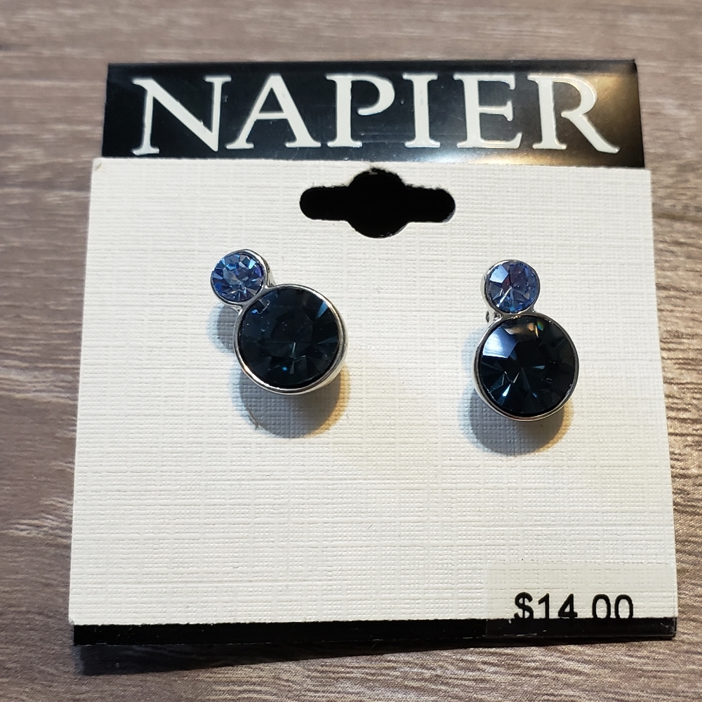 Blue stone earrings